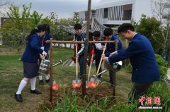 香港学子合肥科学岛追“人造太阳
