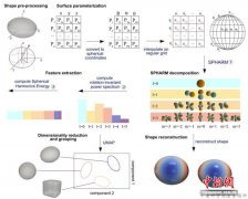 泥河湾古人类遗址最新研究：“石”证生产技术具组织性复杂性进步性